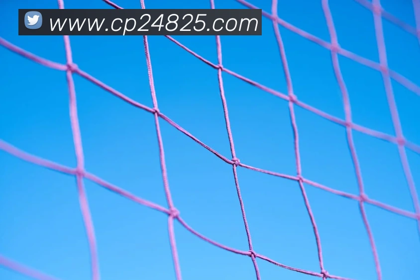 大发彩票APP 高清赛事图